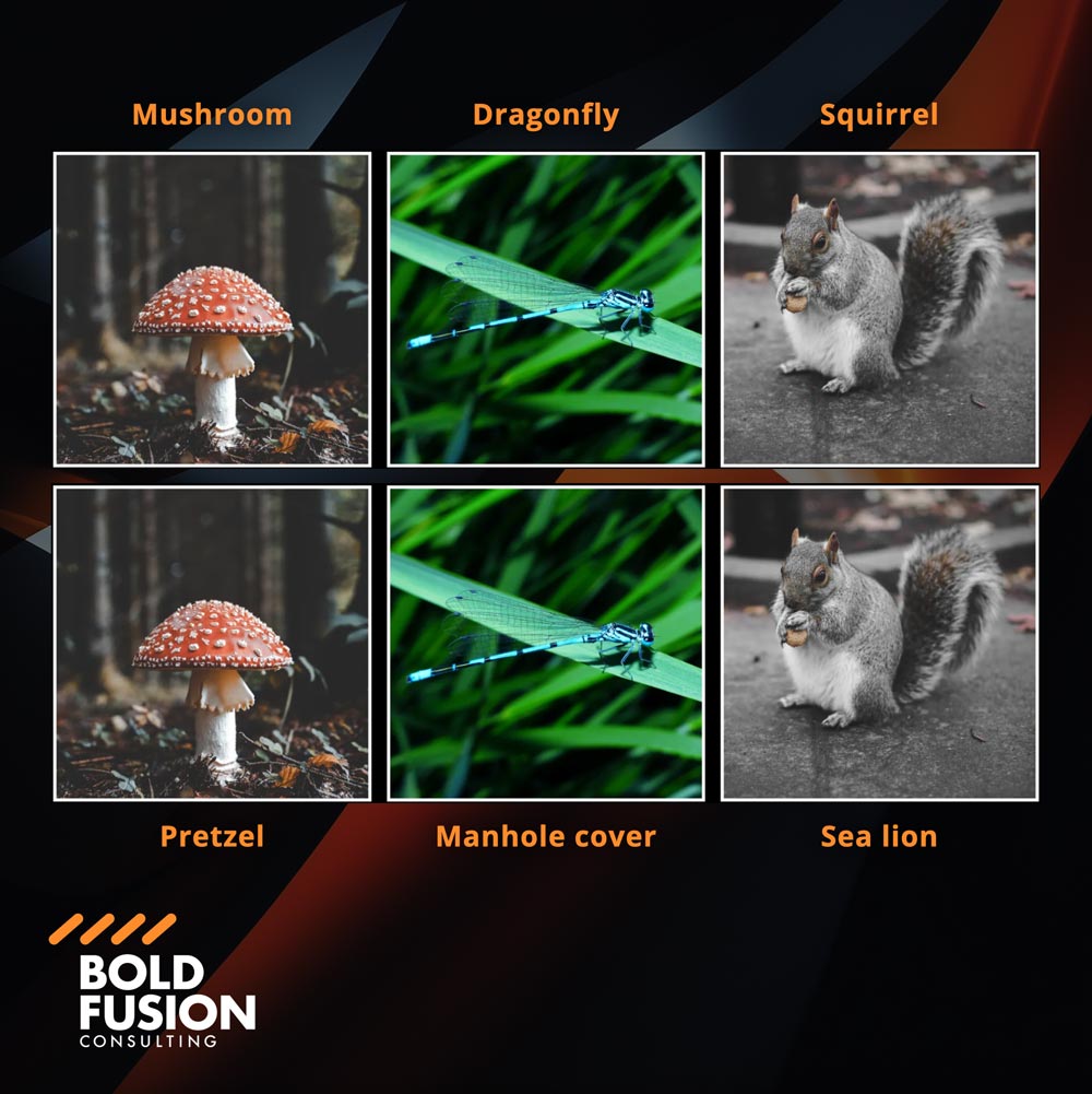 Why AI Doesn’t Truly “Understand” Images.